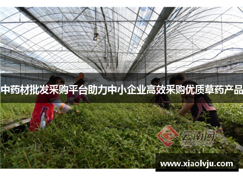 中药材批发采购平台助力中小企业高效采购优质草药产品
