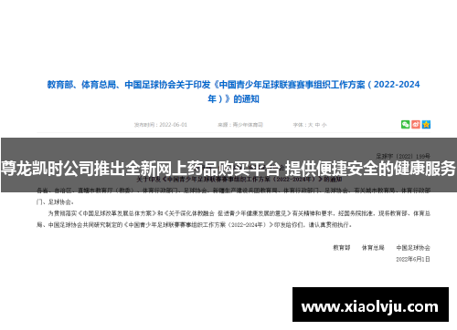 尊龙凯时公司推出全新网上药品购买平台 提供便捷安全的健康服务