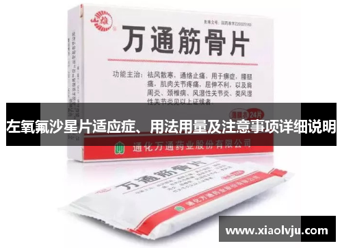 左氧氟沙星片适应症、用法用量及注意事项详细说明