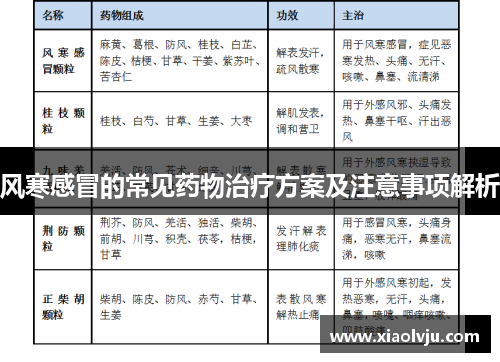 风寒感冒的常见药物治疗方案及注意事项解析