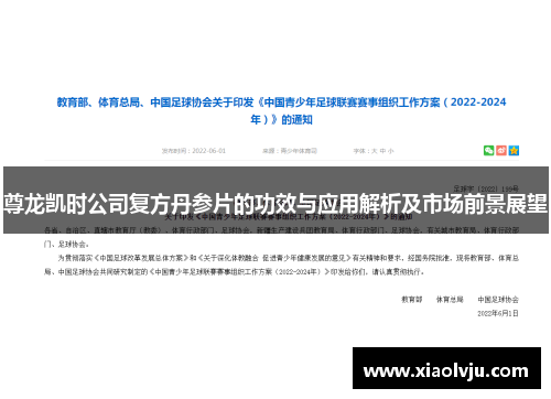 尊龙凯时公司复方丹参片的功效与应用解析及市场前景展望