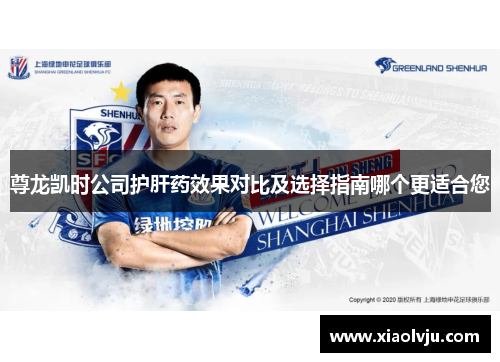 尊龙凯时公司护肝药效果对比及选择指南哪个更适合您