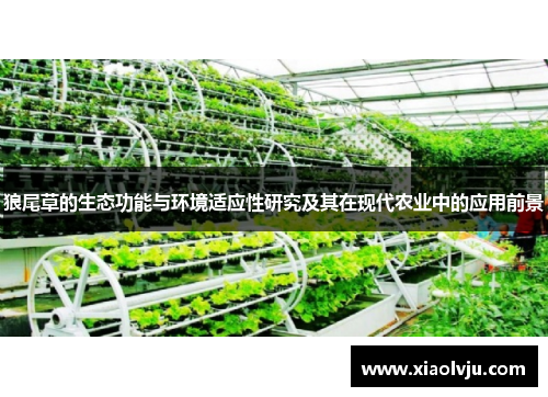 狼尾草的生态功能与环境适应性研究及其在现代农业中的应用前景