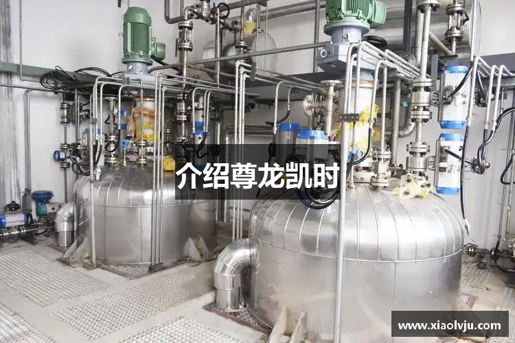 介绍尊龙凯时